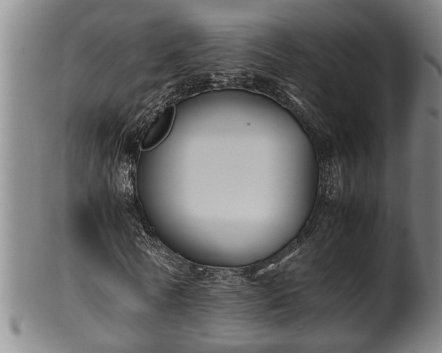 X0000100220770200806061344