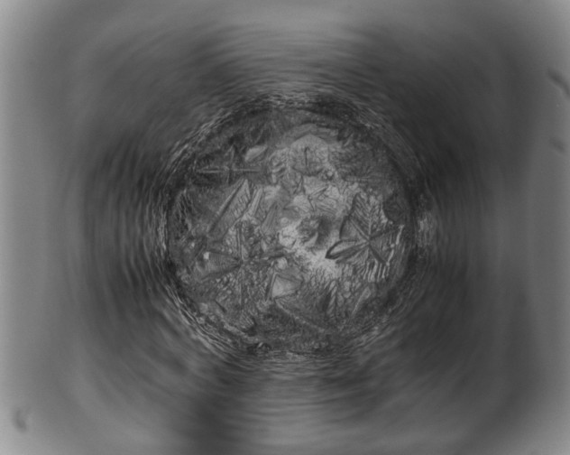 X0000100220772200806061344