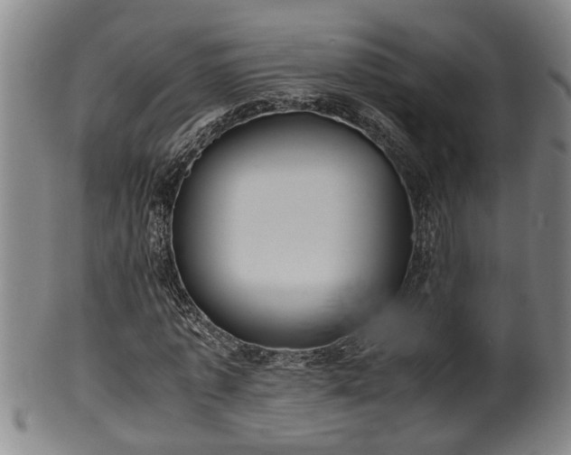 X0000100220773200806061343