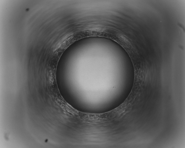 X0000100220774200806061343