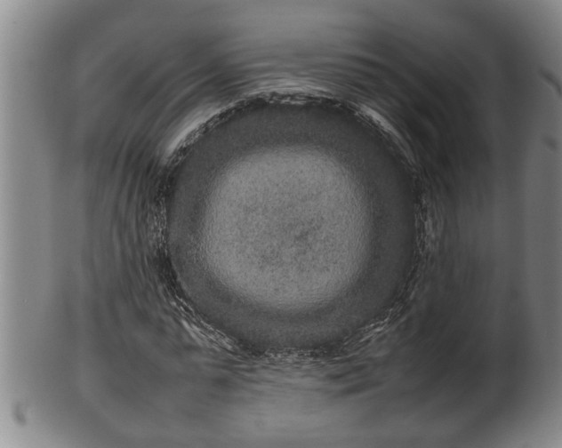 X0000100220775200806061343