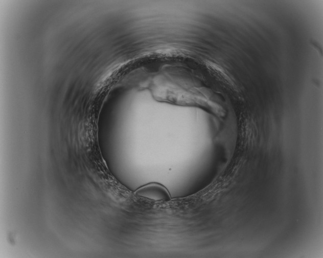 X0000100220776200806061343