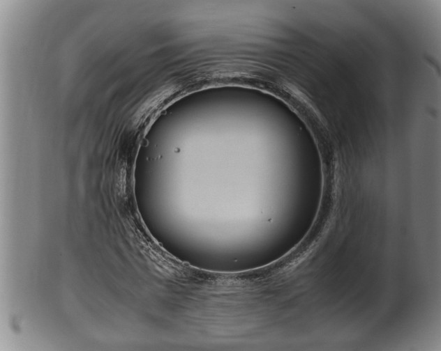 X0000100220777200806061343