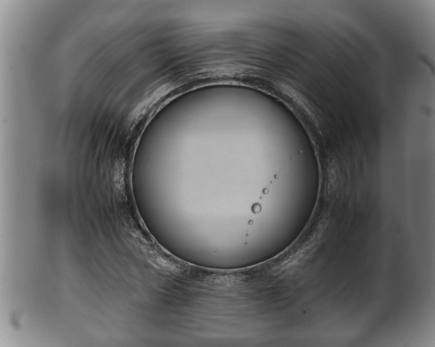 X0000100220778200806061343