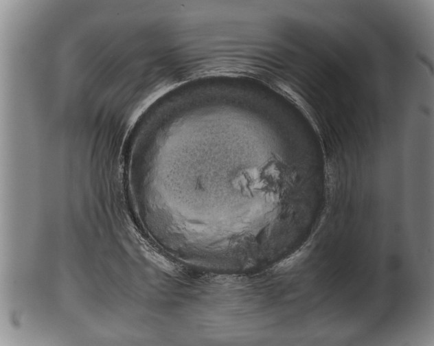 X0000100220779200806061343