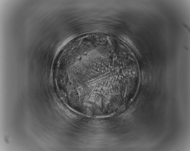 X0000100220780200806061343