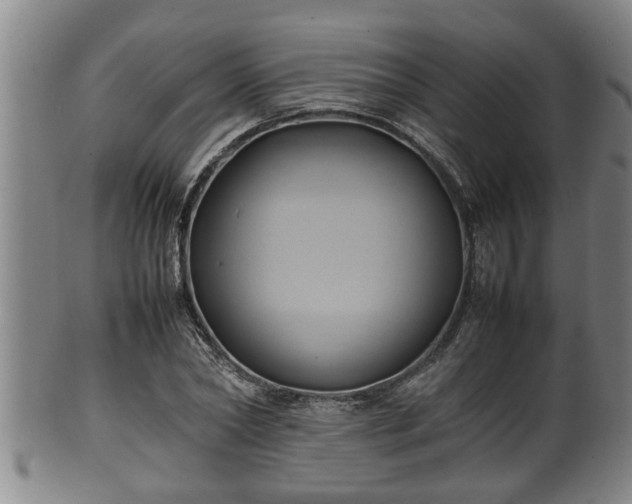 X0000100220782200806061343