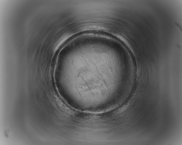 X0000100220783200806061343