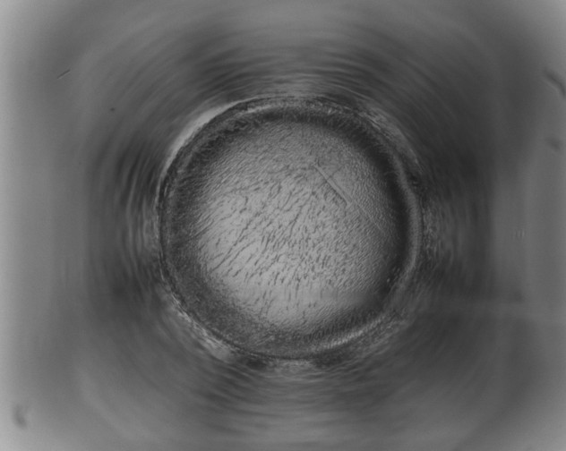 X0000100220784200806061343