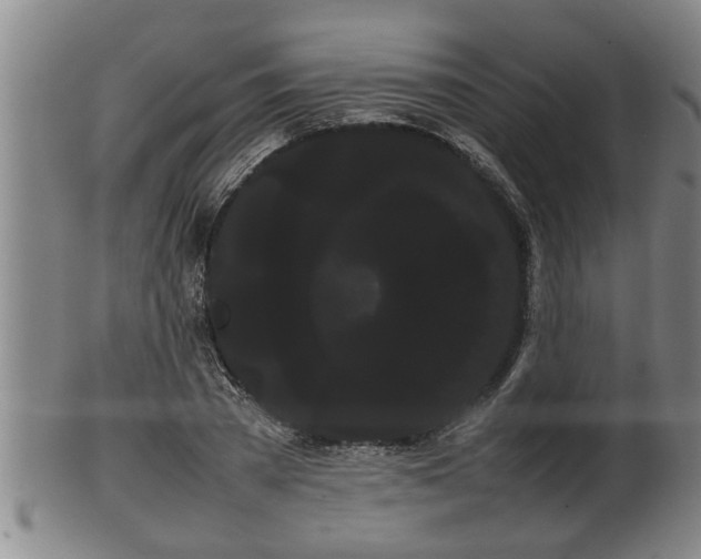 X0000100220785200806061343