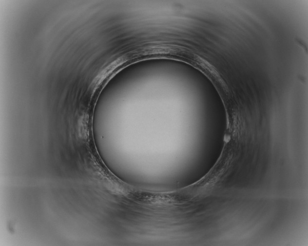 X0000100220786200806061343