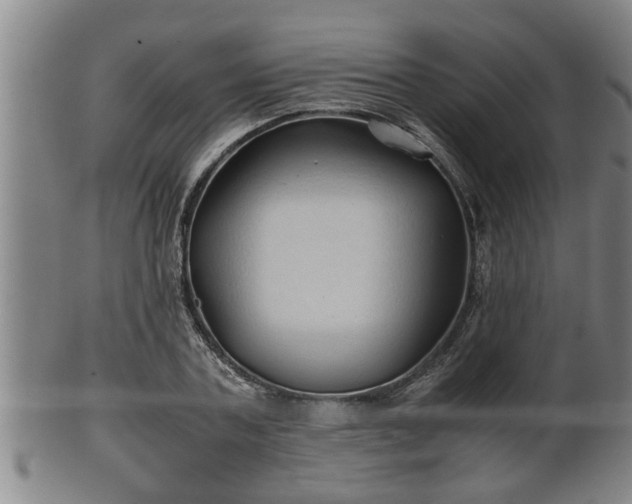 X0000100220787200806061343