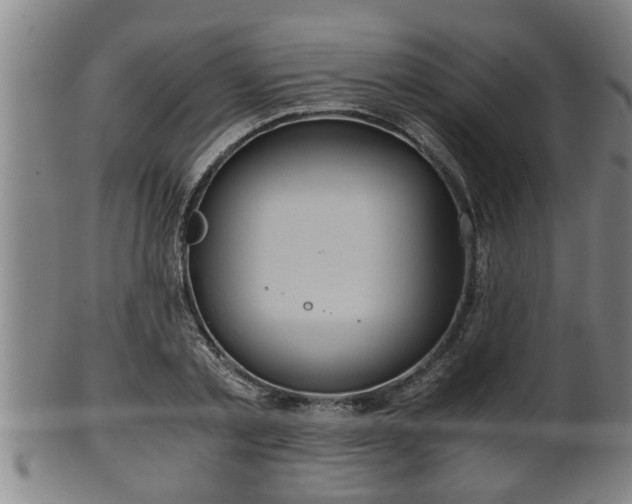 X0000100220789200806061343