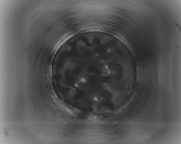 X0000100220790200806061343