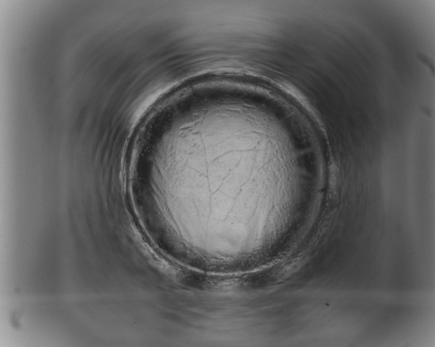 X0000100220791200806061343