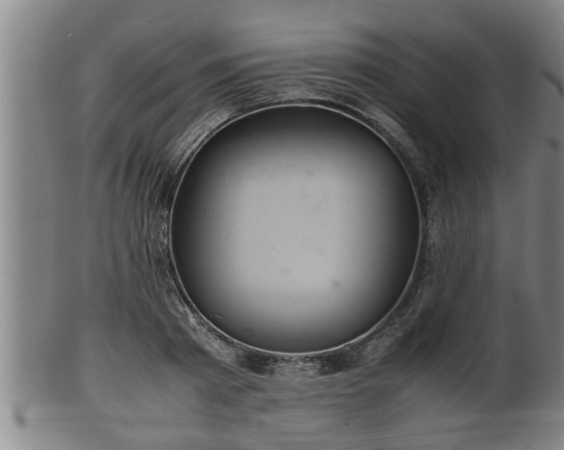 X0000100220793200806061343