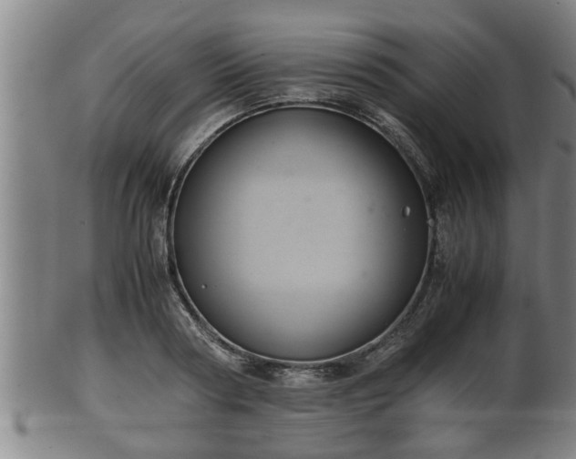 X0000100220794200806061343