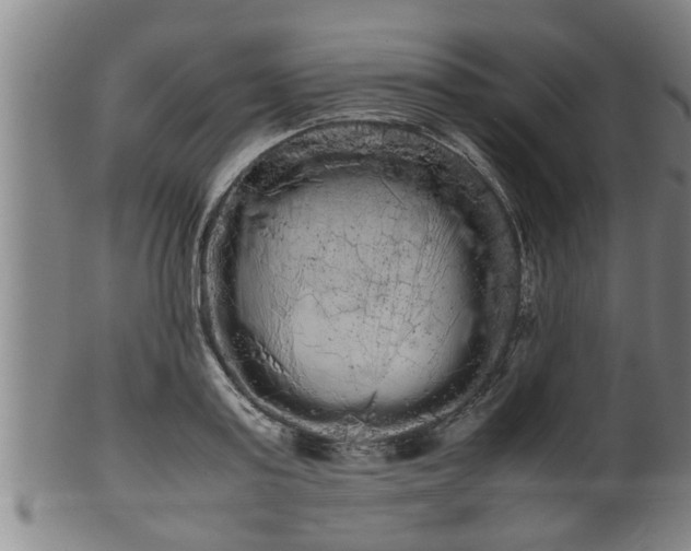 X0000100220795200806061343