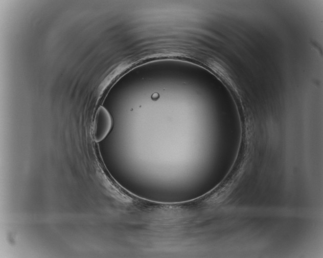 X0000100220797200806061343