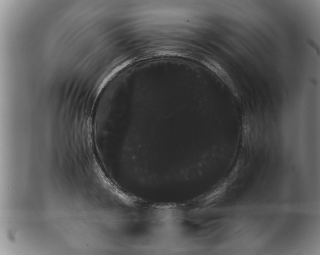 X0000100220798200806061343