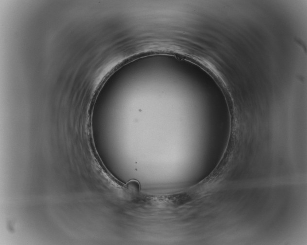 X0000100220799200806061343