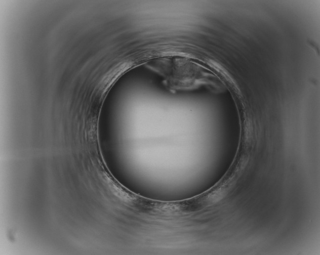 X0000100220801200806061343