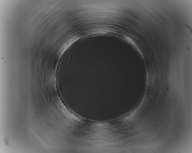 X0000100220802200806061343