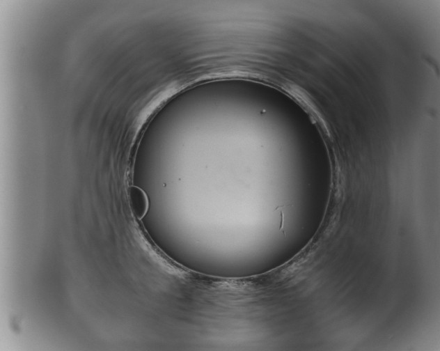 X0000100220805200806061343