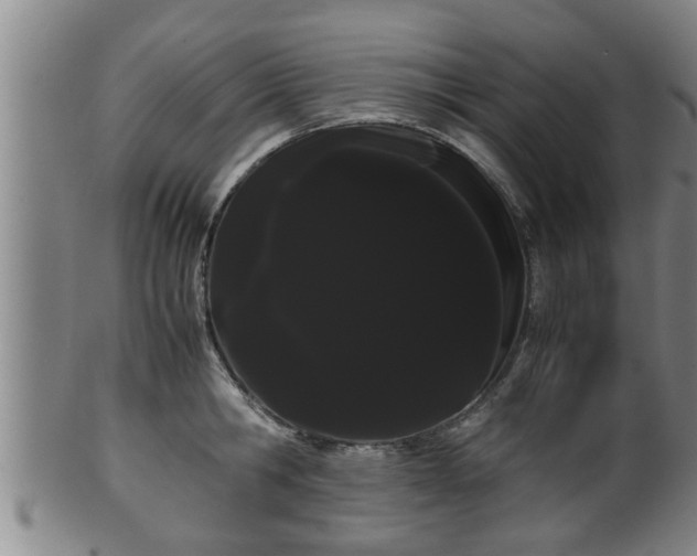 X0000100220806200806061343