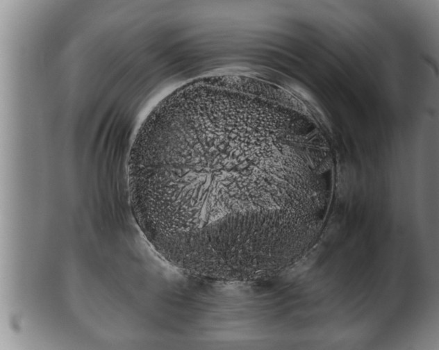 X0000100220808200806061343