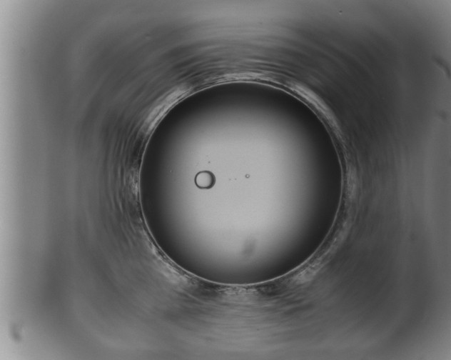 X0000100220809200806061343