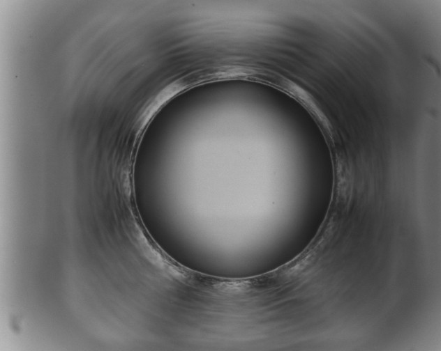 X0000100220810200806061343