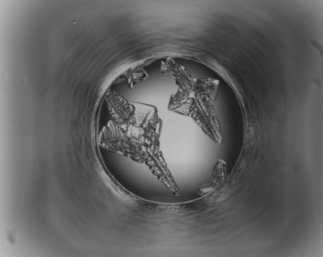 X0000100220811200806061343