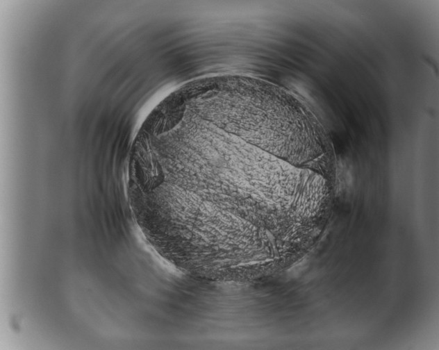 X0000100220812200806061343