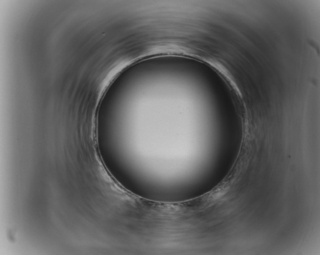 X0000100220815200806061343