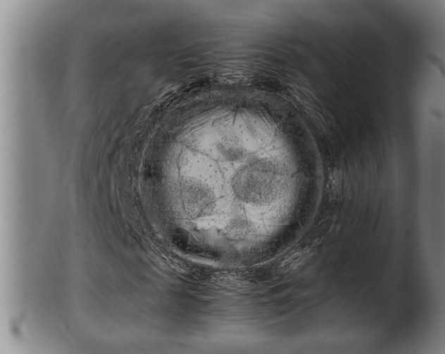 X0000100220817200806061342
