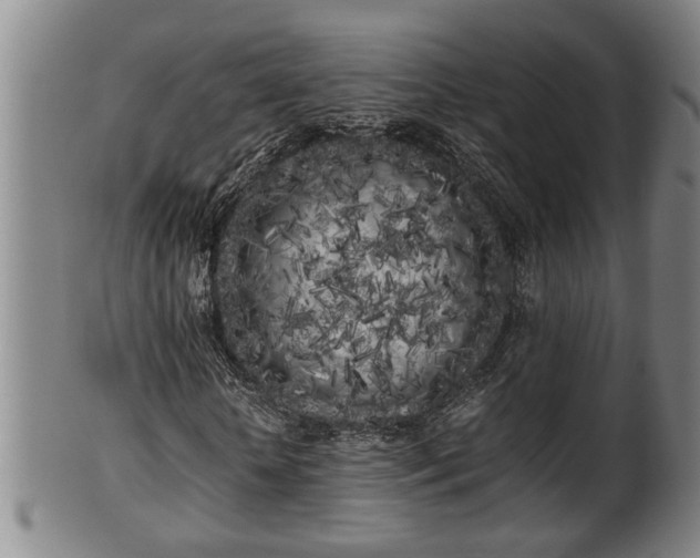 X0000100220818200806061342