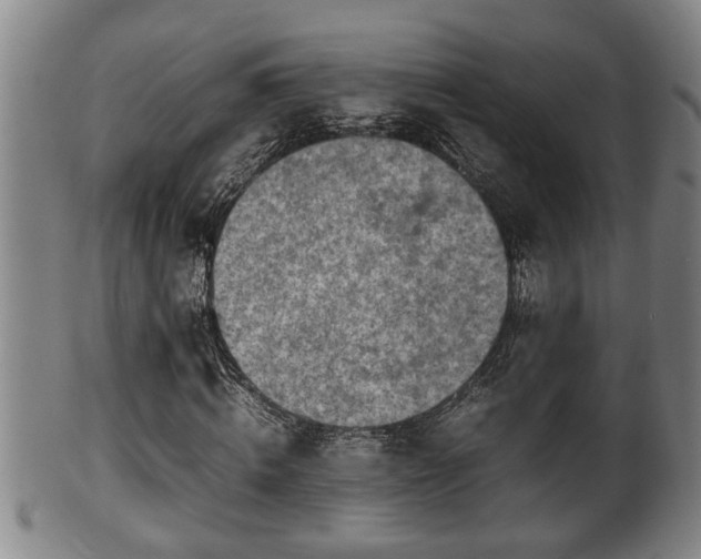 X0000100220820200806061342