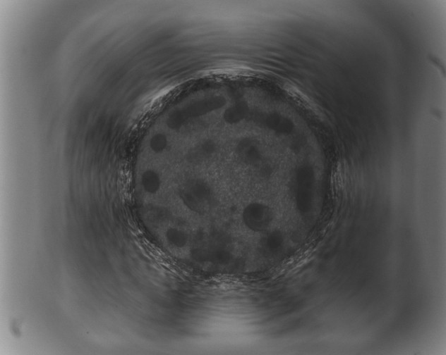 X0000100220822200806061342