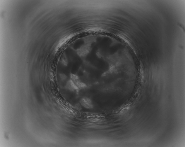 X0000100220823200806061342