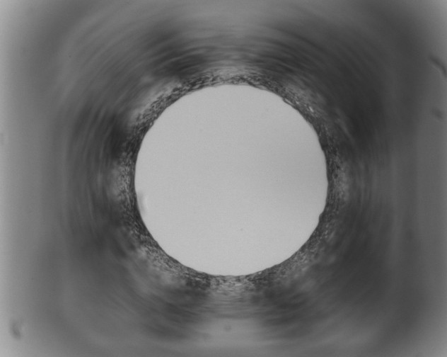 X0000100220824200806061342