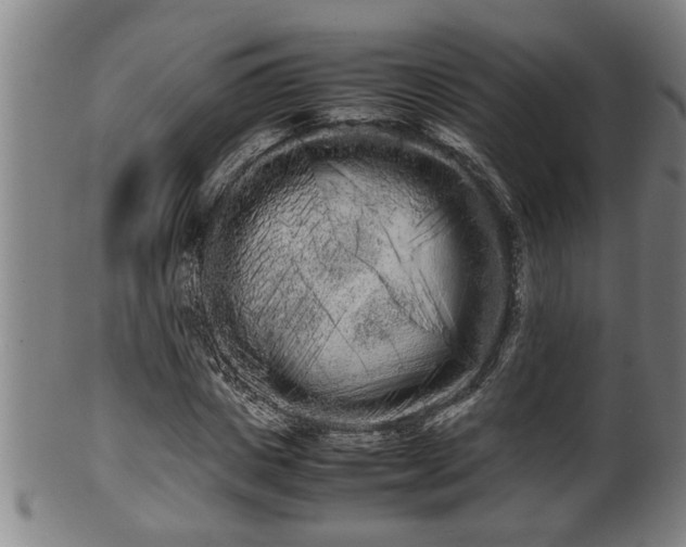 X0000100220825200806061342