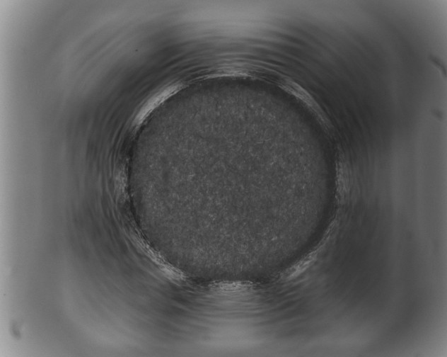 X0000100220826200806061342