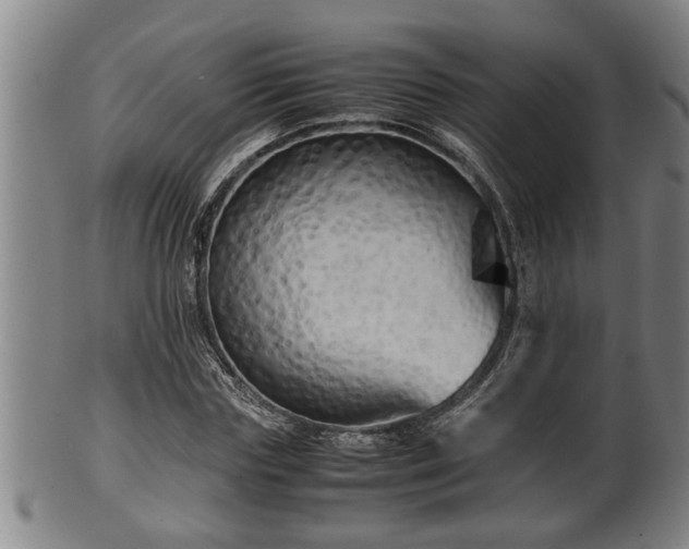 X0000100220827200806061342