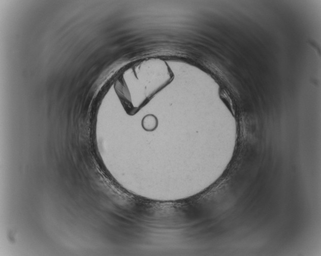 X0000100220828200806061342