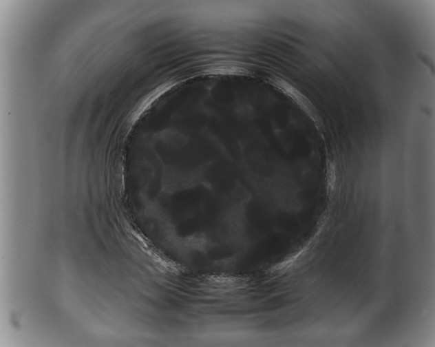 X0000100220829200806061342