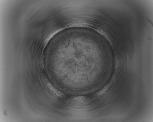 X0000100220830200806061342