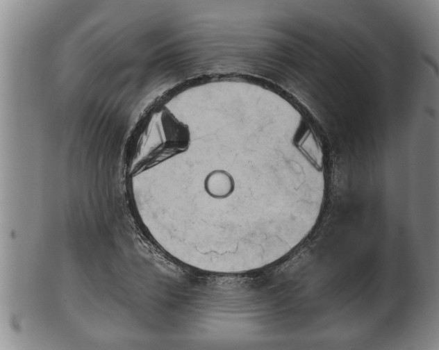 X0000100220832200806061342