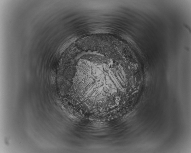 X0000100220833200806061342