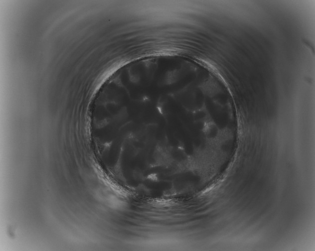 X0000100220835200806061342